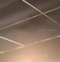 Mona Kuhn: Sie verschwand in völliger Stille - Mona Kuhn: She Disappeared Into Complete Silence