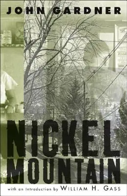 Nickel Mountain: Ein Hirtenroman - Nickel Mountain: A Pastoral Novel