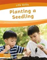 Einen Setzling pflanzen - Planting a Seedling