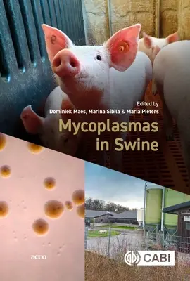 Mykoplasmen bei Schweinen - Mycoplasmas in Swine