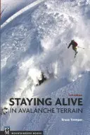 Am Leben bleiben im Lawinengelände - Staying Alive in Avalanche Terrain