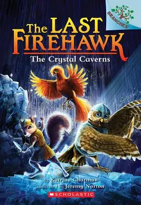 Die Kristallhöhlen: Ein Zweigbuch (der letzte Feuerfalke #2), 2 - The Crystal Caverns: A Branches Book (the Last Firehawk #2), 2