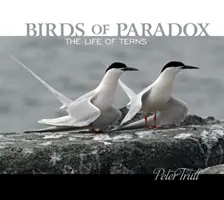 Vögel des Paradoxons: Das Leben der Seeschwalben - Birds of Paradox: The Life of Terns