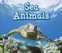 Meerestiere - Sea Animals