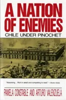 Eine Nation von Feinden: Chile unter Pinochet - A Nation of Enemies: Chile Under Pinochet