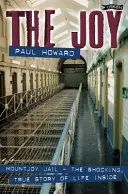 Die Freude: Mountjoy Jail. die schockierende, wahre Geschichte des Lebens im Gefängnis - The Joy: Mountjoy Jail. the Shocking, True Story of Life on the Inside