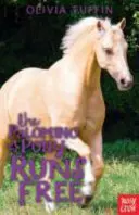 Palomino-Pony läuft frei - Palomino Pony Runs Free