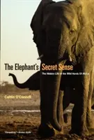 Das geheime Gespür des Elefanten: Das verborgene Leben der wilden Herden in Afrika - The Elephant's Secret Sense: The Hidden Life of the Wild Herds of Africa