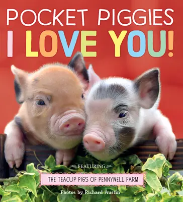 Pocket Piggies: Ich liebe dich! - Pocket Piggies: I Love You!