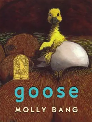 Gans - Goose