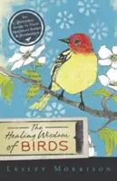 Die heilende Weisheit der Vögel: Ein alltäglicher Leitfaden für ihre spirituellen Lieder und ihre Symbolik - The Healing Wisdom of Birds: An Everyday Guide to Their Spiritual Songs & Symbolism