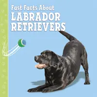 Schnelle Fakten über Labradore - Fast Facts About Labradors