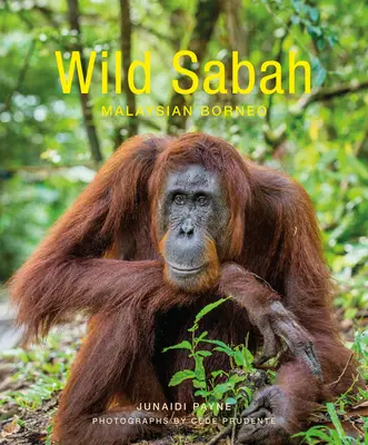 Wildes Sabah - Wild Sabah