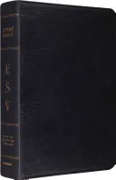 Studienbibel-ESV - Study Bible-ESV