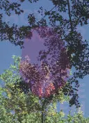 Viviane Sassen: Heißer Spiegel - Viviane Sassen: Hot Mirror