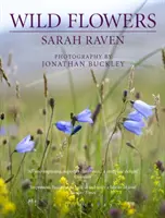 Sarah Ravens Wildblumen - Sarah Raven's Wild Flowers