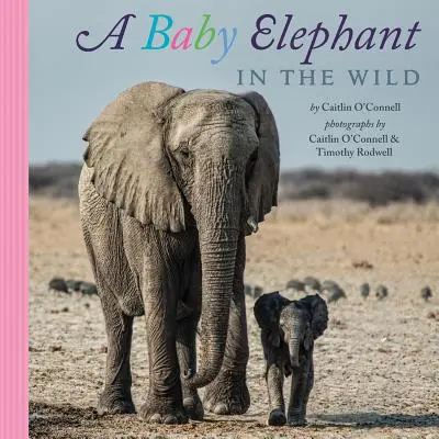 Ein Elefantenbaby in freier Wildbahn - A Baby Elephant in the Wild