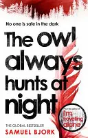 Eule jagt immer in der Nacht - Owl Always Hunts At Night