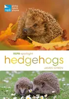 RSPB Spotlight Igel - RSPB Spotlight Hedgehogs