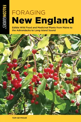 Futtersuche in Neuengland: Essbare Wildnahrung und Heilpflanzen von Maine über die Adirondacks bis zum Long Island Sound - Foraging New England: Edible Wild Food and Medicinal Plants from Maine to the Adirondacks to Long Island Sound