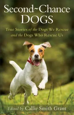 Second-Chance-Hunde: Wahre Geschichten von Hunden, die wir retten, und von Hunden, die uns retten - Second-Chance Dogs: True Stories of the Dogs We Rescue and the Dogs Who Rescue Us