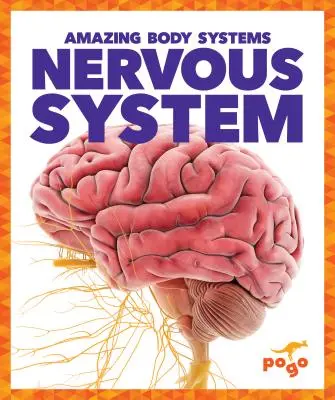 Nervensystem - Nervous System