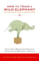 Wie man einen wilden Elefanten trainiert: Und andere Abenteuer der Achtsamkeit - How to Train a Wild Elephant: And Other Adventures in Mindfulness
