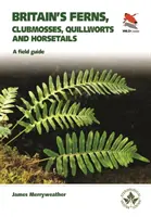 Großbritanniens Farne: Ein Feldführer zu den Klumpfußgewächsen, Quillworts, Schachtelhalmen und Farnen Großbritanniens und Irlands - Britain's Ferns: A Field Guide to the Clubmosses, Quillworts, Horsetails and Ferns of Great Britain and Ireland