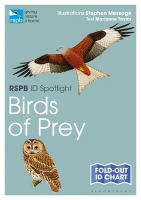 Rspb Id Spotlight - Raubvögel - Rspb Id Spotlight - Birds of Prey