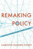 Politik neu gestalten: Ausmaß, Tempo und politische Strategie bei der Reform des Gesundheitswesens - Remaking Policy: Scale, Pace, and Political Strategy in Health Care Reform