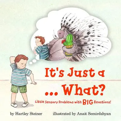 Es ist nur ein ... Was?: Kleine sensorische Probleme mit großen Reaktionen! - It's Just a ... What?: Little Sensory Problems with Big Reactions!