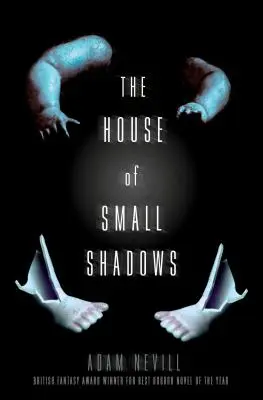 Das Haus der kleinen Schatten - The House of Small Shadows