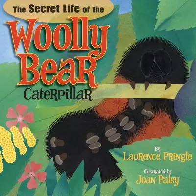 Das geheime Leben der Wollbär-Raupe - The Secret Life of the Woolly Bear Caterpillar