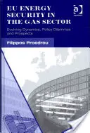 Eu Energiesicherheit im Gassektor: Entwicklungsdynamik, politische Dilemmata und Aussichten - Eu Energy Security in the Gas Sector: Evolving Dynamics, Policy Dilemmas and Prospects