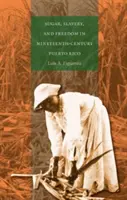 Zucker, Sklaverei und Freiheit in Puerto Rico im neunzehnten Jahrhundert - Sugar, Slavery, and Freedom in Nineteenth-Century Puerto Rico