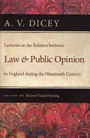 Vorlesungen über das Verhältnis zwischen Recht und öffentlicher Meinung in England während des neunzehnten Jahrhunderts - Lectures on the Relation Between Law and Public Opinion in England During the Nineteenth Century