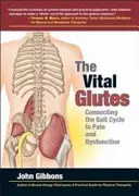 Vitaler Gesäßmuskel - Der Zusammenhang zwischen dem Gangzyklus und Schmerz und Dysfunktion - Vital Glutes - Connecting the Gait Cycle to Pain and Dysfunction