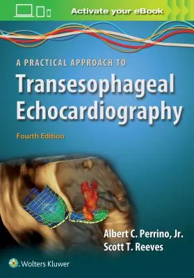 Ein praktischer Ansatz für die transösophageale Echokardiographie - A Practical Approach to Transesophageal Echocardiography