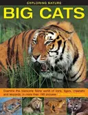 Die Natur erforschen: Großkatzen: Die furchterregende Katzenwelt der Löwen, Tiger, Geparden und Leoparden in mehr als 190 Bildern - Exploring Nature: Big Cats: Examine the Fearsome Feline World of Lions, Tigers, Cheetahs and Leopards, in More Than 190 Pictures