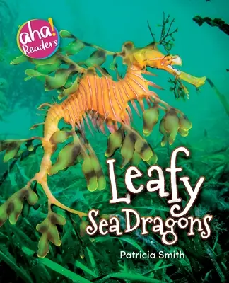 Blättrige Meeresdrachen - Leafy Sea Dragons