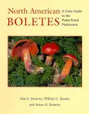 Nordamerikanische Steinpilze: Ein Farbführer zu den fleischig-porigen Pilzen - North American Boletes: A Color Guide to the Fleshy Pored Mushrooms