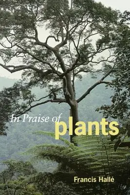 Ein Loblied auf die Pflanzen - In Praise of Plants