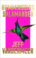 Kolibri-Salamander - Hummingbird Salamander