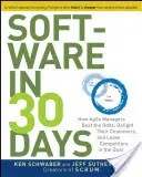 Software in 30 Tagen: Wie agile Manager ihre Kunden begeistern und ihre Konkurrenten hinter sich lassen - Software in 30 Days: How Agile Managers Beat the Odds, Delight Their Customers, and Leave Competitors in the Dust