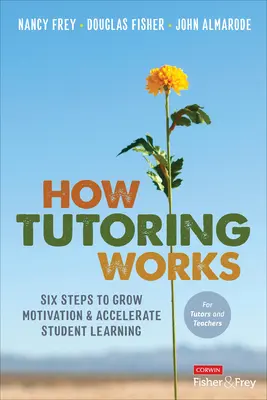 Wie Nachhilfe funktioniert: Sechs Schritte, um die Motivation zu steigern und das Lernen der Schüler zu beschleunigen - How Tutoring Works: Six Steps to Grow Motivation and Accelerate Student Learning