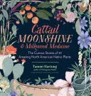 Katzenschwanz-Moonshine und Seidengras-Medizin: Die kuriosen Geschichten von 43 erstaunlichen einheimischen Pflanzen Nordamerikas - Cattail Moonshine & Milkweed Medicine: The Curious Stories of 43 Amazing North American Native Plants