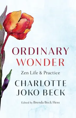 Gewöhnliches Wunder: Leben und Praxis des Zen - Ordinary Wonder: Zen Life and Practice