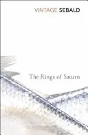 Die Ringe des Saturn - Rings of Saturn