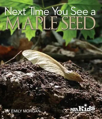 Das nächste Mal, wenn du einen Ahornsamen siehst - Next Time You See a Maple Seed