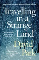 Travelling in a Strange Land - Gewinner des Kerry Group Irish Novel of the Year - Travelling in a Strange Land - Winner of the Kerry Group Irish Novel of the Year
